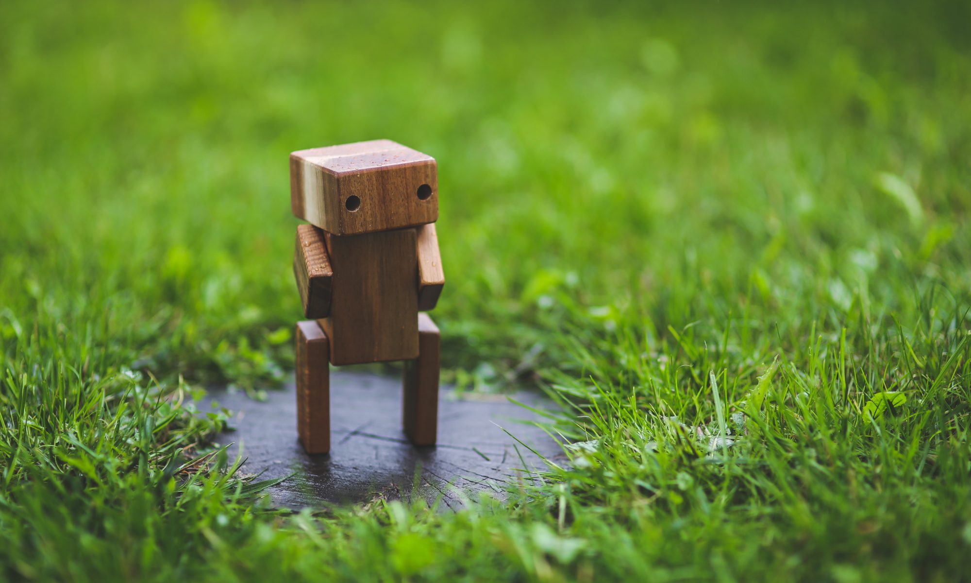 Random picture of wooden, robot figure standing in puddle of water surrounded by thick green grass. The grass in the rear is blurred to allow focus of wooden robot.