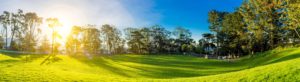 Wide shot of a rolling hill of bright green grass. There is a fence and tree line border that goes from end to end of the shot. The sun is shining bright directly into the shot and mountains grace the back of the picture behind the tree-line.