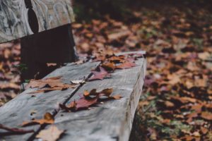 A close up picture of the end of a random bench in a park. The bench wood looks aged, but with so much character. There are autumn colored leaves scattered on the bench and there is a thick floor of fall leaves all over the ground. The picture seems to have to been shot in early evening or on a very cloudy day as the sunlight is very low. Very serene view.
