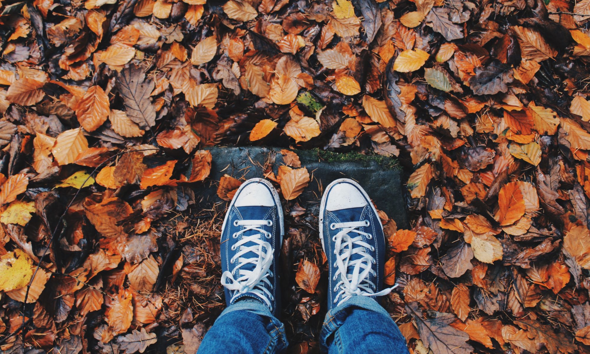A person has taken a close up picture of their feet while standing on the forrest floor of thick, autumn colored leaves. They are wearing black, old school Chuck Taylor's All-Star, low top sneakers. Their jeans are rolled up just above the ankles. The surrounding leaves are beautiful. The only thing missing in this picture is a pumpkin.
